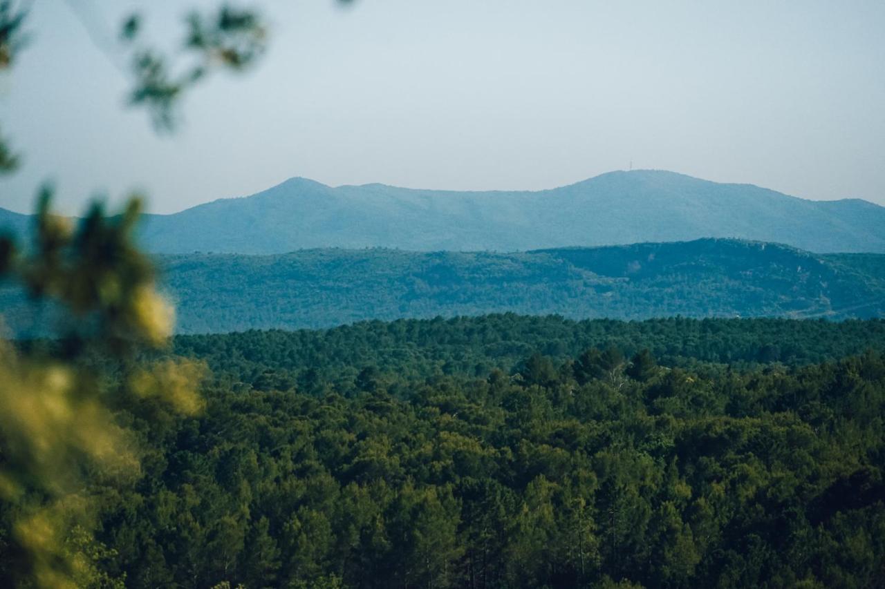 Flayosc Domaine Monte Verdi المظهر الخارجي الصورة