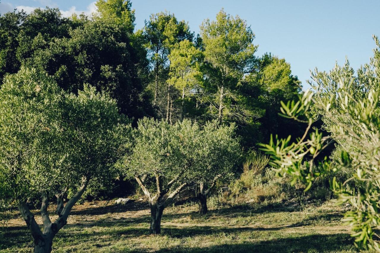 Flayosc Domaine Monte Verdi المظهر الخارجي الصورة